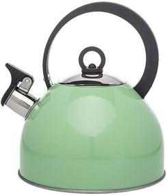 img 1 attached to 🍵 2.5L Stainless Steel Tea Pot with Whistle - Mint Green Studio Hot Water Tea Kettle
