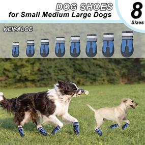 img 3 attached to 🐾 KEIYALOE Premium Dog Shoes: Summer Breathable Mesh Boots for Hot Pavement - Heat Protection, Non-Slip Soles, Reflective Straps