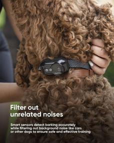 img 3 attached to 🐶 OlarHike Rechargeable Bark Collar for Small to Medium Dogs - Two-Mode Training Collar with Adjustable Sensitivity and Intensity, Automatic Shock Collar with Replacement Dog Collar