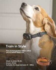 img 1 attached to 🐶 OlarHike Rechargeable Bark Collar for Small to Medium Dogs - Two-Mode Training Collar with Adjustable Sensitivity and Intensity, Automatic Shock Collar with Replacement Dog Collar