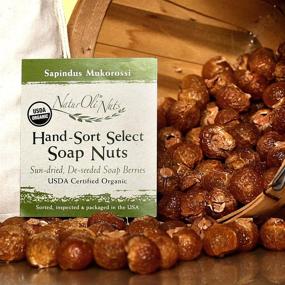 img 3 attached to NaturOli Organic Soap Nuts/Soap Berries - 1/2-Lb USDA Certified (120 loads) + Travel Bottle (18X concentrated, 12 loads). Seedless. Made in USA!