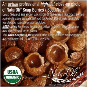 img 2 attached to NaturOli Organic Soap Nuts/Soap Berries - 1/2-Lb USDA Certified (120 loads) + Travel Bottle (18X concentrated, 12 loads). Seedless. Made in USA!