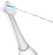 waterpik sonic-fusion replacement flossing brush heads: white/chrome for superior oral health logo