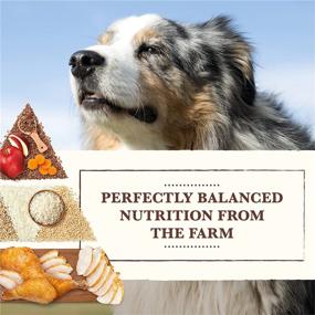 img 2 attached to Premium Whole Earth Farms 🐶 Dry Dog Food with Nutritious Grains