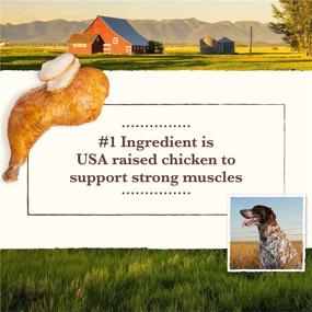 img 1 attached to Premium Whole Earth Farms 🐶 Dry Dog Food with Nutritious Grains