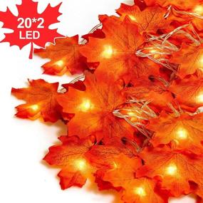 img 3 attached to 🍁 Blasoul 2Pcs Thanksgiving Fall Home Decor Maple Leaf String Lights - 40 LED Waterproof Maple Leaf String Lights (Battery Operated) for Interior and Exterior Decoration - Ideal for Party, Thanksgiving Festival