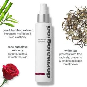 img 3 attached to 💦 Dermalogica Antioxidant Hydramist Toner - Hydrating Face Toner Spray for Firming and Anti-Aging with Day-long Use