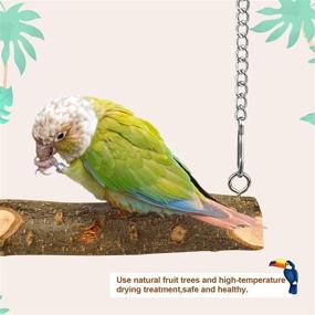 img 2 attached to 🐦 Wooden Bird Swing Toy for Parakeet Cockatoo Cockatiel Conure Lovebirds Canaries Macaw African Parrot - Roundler Pet Cage Toys