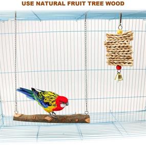img 1 attached to 🐦 Wooden Bird Swing Toy for Parakeet Cockatoo Cockatiel Conure Lovebirds Canaries Macaw African Parrot - Roundler Pet Cage Toys