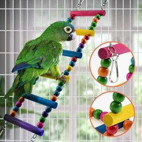 img 2 attached to 🐦 Colorful Bird Swing Toy Set with Chewing Accessories - KATUMO 6pcs Parrot Toys for Climbing, Playing, and Chew Training for Parrots, Conures, Cockatiels, and More