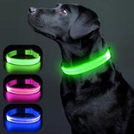 🐶✨ waterproof led dog collar with usb rechargeable light for enhanced dog safety logo