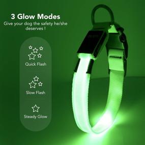 img 3 attached to 🐶✨ Waterproof LED Dog Collar with USB Rechargeable Light for Enhanced Dog Safety