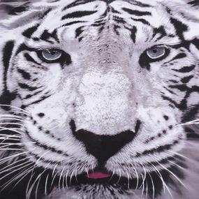 img 2 attached to Tiger Bedding Duvet Cover Twin - 3D White Tiger Pattern - Premium Comforter Cover for Kids & Teens - Soft Microfiber Bedding Set (Twin Size, 2Pcs) - Zipper Closure Included