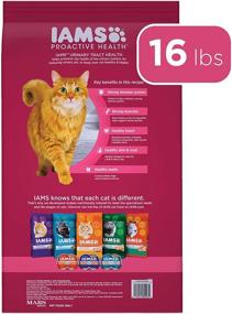 img 3 attached to IAMS PROACTIVE HEALTH Взрослый корм для кошек 🐱 для здоровья мочевого тракта, рецепт с курицей