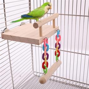 img 3 attached to 🐦 Bird Perches Cage Toys with Wooden Play Gyms Stands, Swing, Ferris Wheel, & Chewing Toys - Ideal for Green Cheeks, Lovebirds, Chinchillas, Hamsters