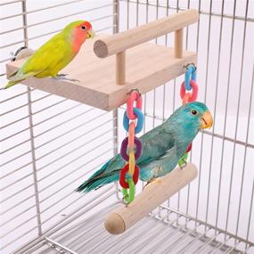 img 4 attached to 🐦 Bird Perches Cage Toys with Wooden Play Gyms Stands, Swing, Ferris Wheel, & Chewing Toys - Ideal for Green Cheeks, Lovebirds, Chinchillas, Hamsters