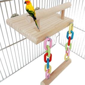 img 2 attached to 🐦 Bird Perches Cage Toys with Wooden Play Gyms Stands, Swing, Ferris Wheel, & Chewing Toys - Ideal for Green Cheeks, Lovebirds, Chinchillas, Hamsters
