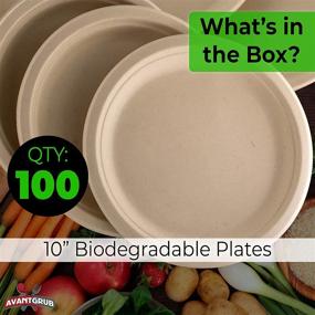 img 3 attached to 🌱 Environmentally-Friendly 10 Inch Plates - 100 Pack. Ideal for Lunch, Dinner Parties, and Potlucks. Eco-Friendly, Biodegradable, and Compostable Wheatstraw Paper Alternative. Durable, Soakproof, and Microwave Safe