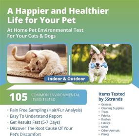 img 3 attached to 5Strands Pet Environmental Intolerance Test: Comprehensive Sensitivity Test Kit for Dogs and Cats - Accurate Results in 5-7 Days
