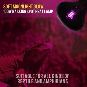 img 2 attached to Night Heat Lamp Reptile 100W Bulb - Moonlight Pet Light UVA Spot Lamp for Reptiles, Amphibians, Tortoises, Lizards, Snakes, Chameleons, and Spiders - Pack of 2