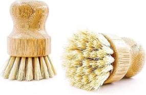 img 3 attached to 🌴 HusMait Set of 2 Palm Brushes - Premium Wood Design & Durable Bristles - Versatile Cleaning for Dishes, Pots, Pans, Veggies & More!