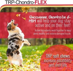 img 2 attached to 🐾 Enhance Your Dog's Joint Health with HealthyPets PHS TRP-Chondro-Flex Supplement - Glucosamine, MSM, Chondroitin - Relieve Hip and Joint Pain - Made in USA - 120 Soft Chews