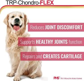 img 3 attached to 🐾 Enhance Your Dog's Joint Health with HealthyPets PHS TRP-Chondro-Flex Supplement - Glucosamine, MSM, Chondroitin - Relieve Hip and Joint Pain - Made in USA - 120 Soft Chews