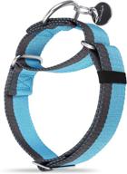 🐾 extra strong 1.5 inch wide martingale collar – heavy duty nylon dog collar for medium to xlarge dogs with 2-color stripe, designed to minimize pulling logo