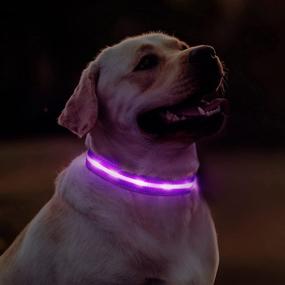 img 3 attached to 🐶 Waterproof Rechargeable LED Dog Collar - Illuminated Adjustable Flashing Glow-in-the-Dark Collars by MASBRILL