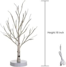 img 3 attached to 🎄 White Christmas Tree: Elegant Birch Tree with 24 Warm White LED Lights, Battery/USB Operated for Wedding Holiday Home Christmas Decor