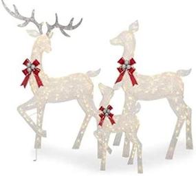 img 3 attached to LED Lighted Holiday Deer Family Set - 60 inch Buck, 52 inch Doe & 28 inch Fawn - 360 Clear LED Lights