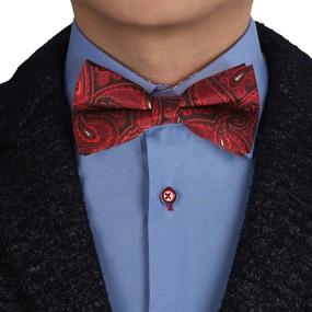 img 4 attached to EBAB0139 Patterned Microfiber Groomsmen Epoint Boys' Accessories for Bow Ties