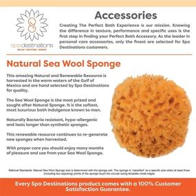 img 3 attached to 🧽 Pack of 3 Facial Sea Wool Sponges, 2-3 Inches, by Spa Destinations