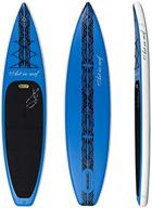 art surf insup touring paddle logo