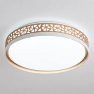 15.8 inch 30w 2110lm dimmable led ceiling light fixture | gold 🔆 painted flush mount lights for kitchen bedroom living room | cool white 6000k логотип