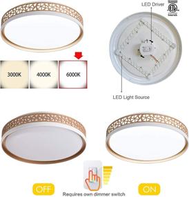 img 3 attached to 15.8 Inch 30W 2110lm Dimmable LED Ceiling Light Fixture | Gold 🔆 Painted Flush Mount Lights for Kitchen Bedroom Living Room | Cool White 6000K