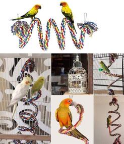 img 1 attached to Enhance Your Parrot's Cage with Colorful, 🦜 Flexible ITTUNLY Bird Rope Perch Bungee Toys and Accessories