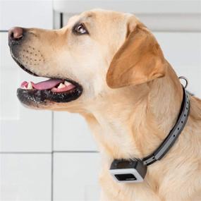 img 1 attached to BRISON Dog Bark Collar - Beep Vibration Modes - 🐶 Rechargeable Waterproof Anti Bark Collar for Small, Medium, and Large Dogs (Black)