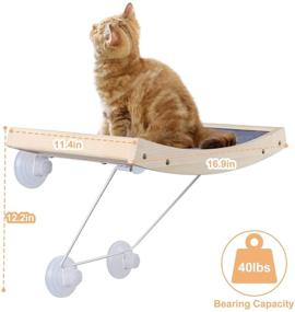 img 2 attached to 🐱 JOYO Cat Window Perch: Strong Suction Cups, Weighted up to 40lb, Safety & Space-Saving Indoor Cat Hammock