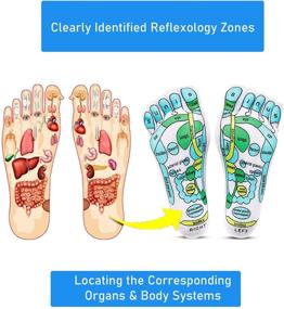 img 2 attached to Revitalize Your Feet with Acupressure Reflexology Socks: Unisex Foot Massage Socks with Five Toe Separation, Cotton Material, and English-Spanish Reflexology Charts – Includes Rod!