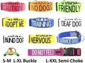 img 1 attached to 🐶 Dexil Limited Friendly Green Color Coded Buckle Dog Collar: Prevent Accidents, Warn Others of Your Dog in Advance!"