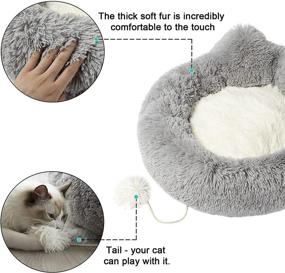 img 1 attached to 🛏️ Tail Stories Cat Bed and Calming Dog Bed: Luxurious, Soft, and Joint-Relieving Pet Bed for Indoor Cats and Small Dogs with Anti-Anxiety Benefits