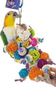 img 1 attached to 🦜 Foraging and Chew Toy Vine Balls for Small to Medium Birds - Ideal for Parrot Cages, Swinging, Climbing, Chewing - Suitable for Conures, Caiques, Cockatoos, Mini Macaws, Amazons, African Greys