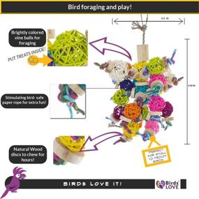 img 2 attached to 🦜 Foraging and Chew Toy Vine Balls for Small to Medium Birds - Ideal for Parrot Cages, Swinging, Climbing, Chewing - Suitable for Conures, Caiques, Cockatoos, Mini Macaws, Amazons, African Greys