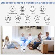 colzer air purifier electronic detection logo