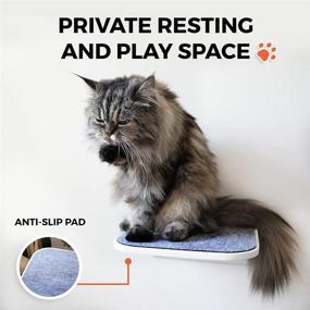 img 1 attached to 🐱 Bqw Cat Bed Wall Mounted Shelves: Curved Cat Furniture for Climbing, Perching, Sleeping, Lounging with 2 Steps