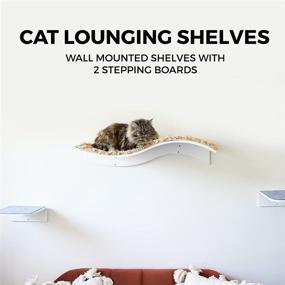 img 3 attached to 🐱 Bqw Cat Bed Wall Mounted Shelves: Curved Cat Furniture for Climbing, Perching, Sleeping, Lounging with 2 Steps