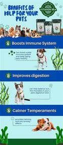 img 2 attached to 🐶 Enhance Your Pet's Health Naturally with VITAMINSEA's USDA Certified Organic Seaweeds Pet Supplement from Maine's Seacoast