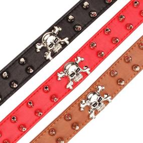 img 2 attached to 🐶 Spiked Leather Dog Collar - Skull Rivet Studs with 2 Rows of Bullet Rivets - Stylish PU Leather Pet Accessories for Medium and Large Dogs