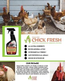 img 2 attached to 🐔 Chick Fresh - Ultimate Odor Control Spray for Backyard Chickens! Say Goodbye to Chicken Coop Odor & Ammonia with our 24 oz Spray Bottle!